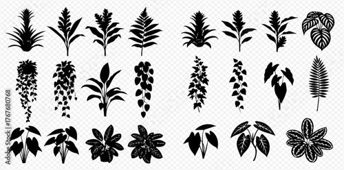 Detailed collection of various plant silhouettes, including tropical foliage, ferns, and hanging vines, on a transparent background.