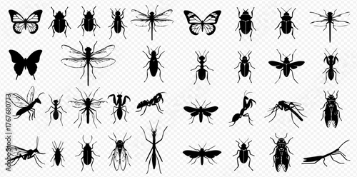 A comprehensive collection of various insect silhouettes including butterflies, beetles, dragonflies, ants, mantises, and flies, presented as detailed black vector icons.