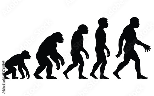 Silhouette of human evolution showing progression from ape to modern man