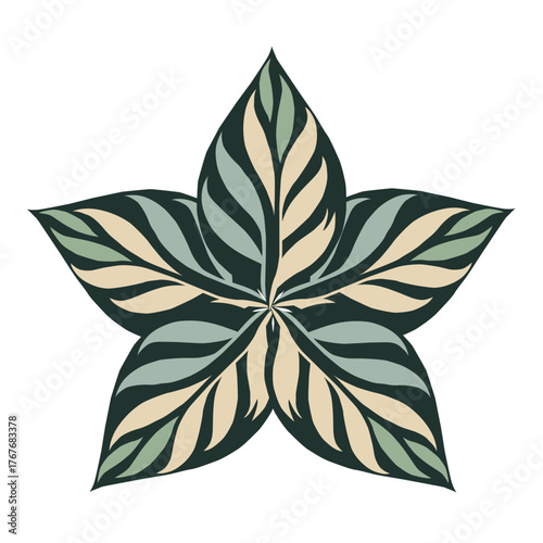 colourfull leaf logo design illustration