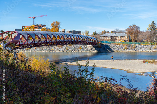 bridge over the river
