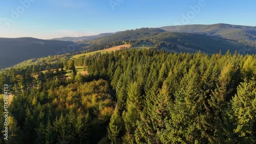 A drone flies over a pine forest in the mountains of Redwood National Park, California, USA. A picturesque autumn forested mountain range. Morning forest landscape, 4K video.