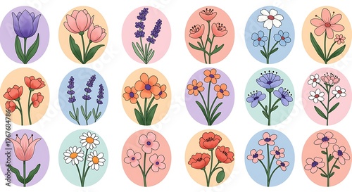 Collection of colorful hand drawn floral illustrations on oval backgrounds