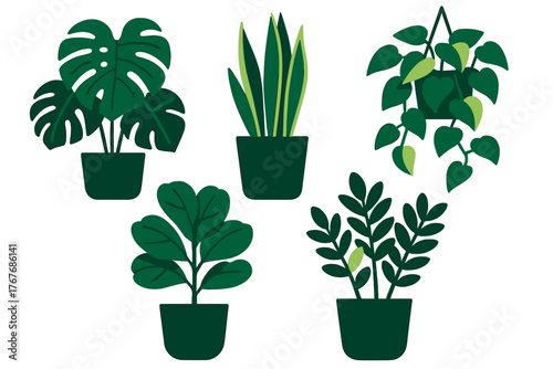 Assortment of popular tropical houseplants in dark green pots on a white background