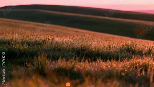 Golden Hour Dew Drops on Grassy Field with Rolling Hills and Pink Sky at Sunrise