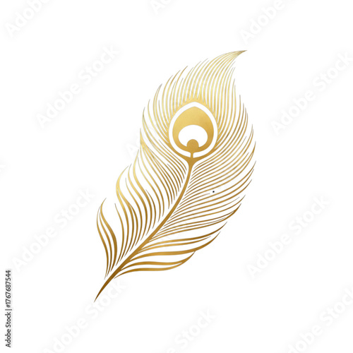 Luxurious Flowing Peacock Feather Vector Logo