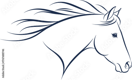 Horse head equine animal mammal stallion mare equestrian wild beauty freedom power