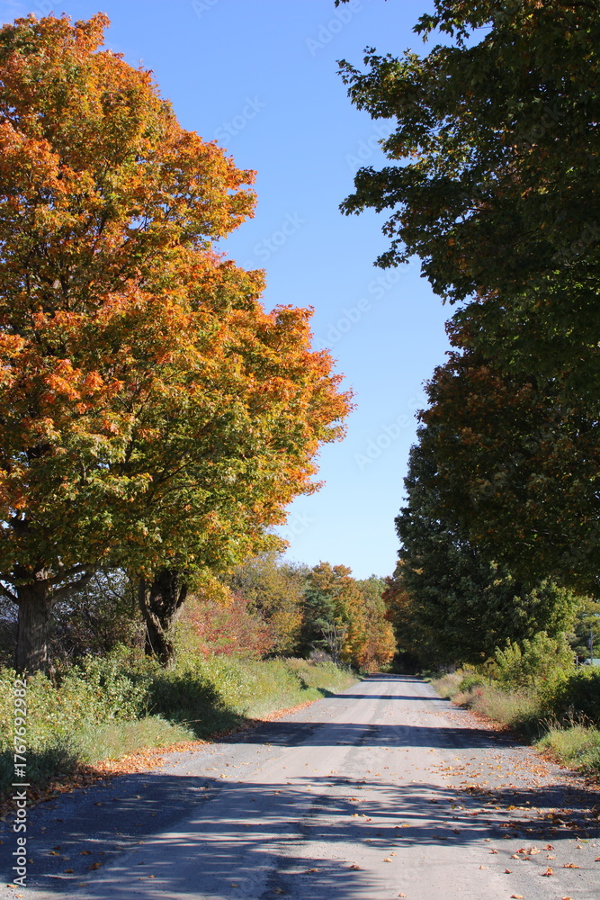 Naklejka premium Country road in fall in Eastern Townships in Quebec