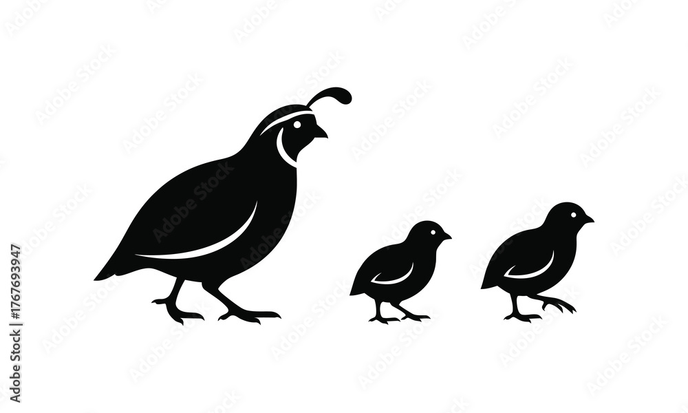 Fototapeta premium Quail Bird Family Silhouette – Mother Quail with Chicks Vector Illustration
