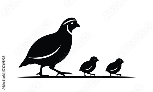 Quail Bird Family Silhouette – Mother Quail with Chicks Vector Illustration