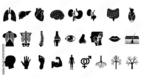 A comprehensive collection of sleek black silhouette icons depicting human anatomy, internal organs, and various body parts for scientific illustration