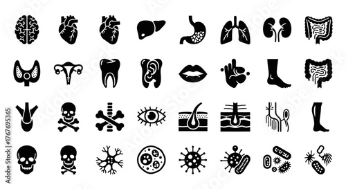 Human Anatomy Icons Brain, Heart, Liver, Lungs, and Kidneys. Medical Symbols and Health Illustrations