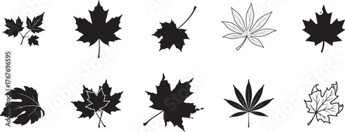 Maple leaf silhouette vector collection with autumn foliage shapes, outline and grunge variations for seasonal nature and canada branding