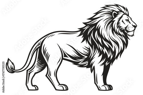 Majestic lion with a full mane in profile on a white background animal wildlife