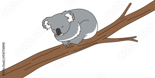 Koala bear sleeping tree branch eucalyptus wildlife animal cartoon cute nature rest