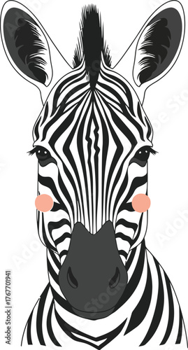 Zebra animal wildlife mammal safari stripes black white nature portrait
