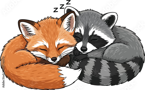 Sleeping fox sleeping raccoon animals cute cartoon illustration wildlife art