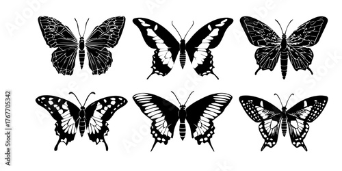 Collection of detailed black and white vintage butterfly illustrations arranged in two rows