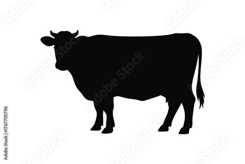 Silhouette of a standing cow on a white background