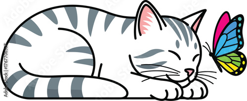 Sleeping cat butterfly pet animal feline cute domestic tabby kitten cartoon rest