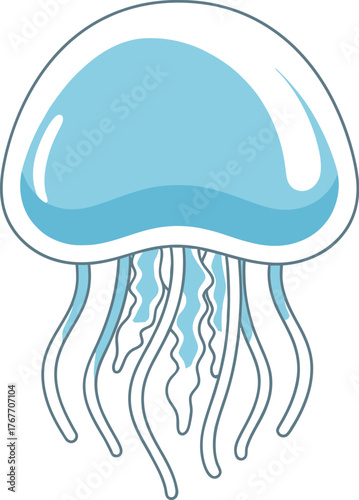 Jellyfish marine ocean sea animal aquatic underwater wildlife nature blue cute