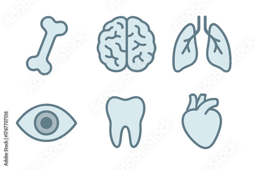 Collection of stylized human internal organs and body parts: brain, heart, lungs, bone, eye, tooth
