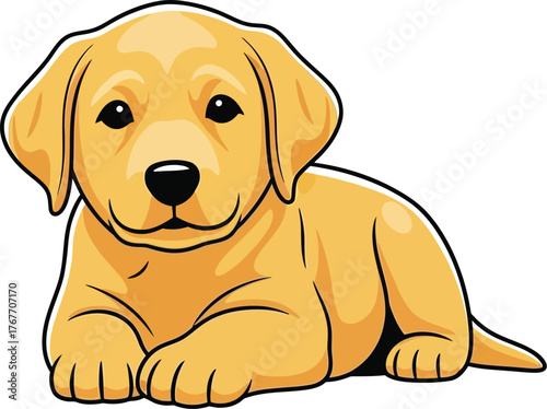 Labrador puppy dog pet animal canine cute adorable friend playful young breed