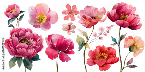 Vibrant watercolor collection of tropical hibiscus flowers and lush green palm leaves	
