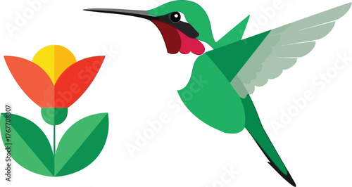 Hummingbird flower nature bird flying wildlife spring summer garden floral art