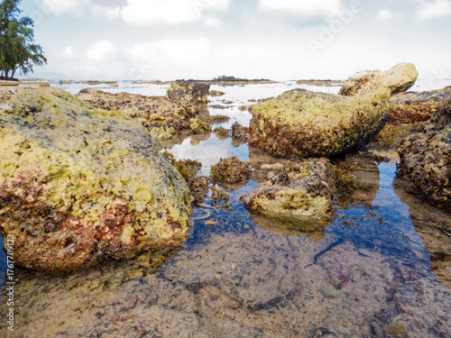 rock emerging at low tide