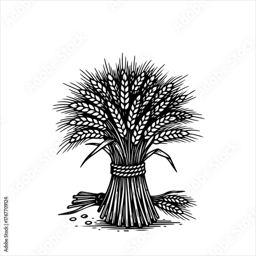 A classic black and white illustration of a sheaf of wheat, bundled and tied with rope in a vintage style.