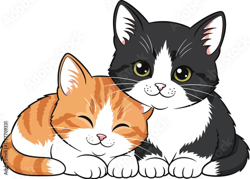 Cats kittens pets animals feline domestic cute adorable friendship love happy