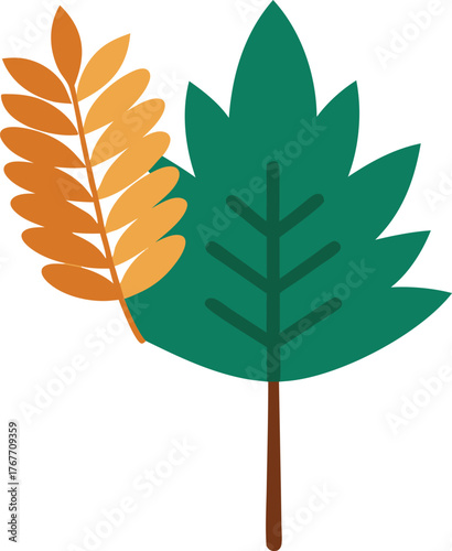 Two stylized autumn leaves one green maple and one orange fern frond