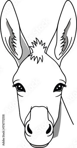 Donkey animal mammal farm agriculture livestock rural nature wildlife cartoon head