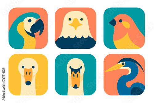 Set of six colorful bird portraits and icons featuring wildlife in modern flat design style
