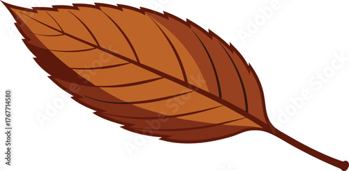 Brown autumn leaf with detailed veins isolated on white background