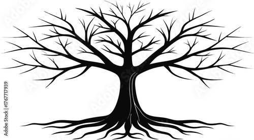 Black silhouette of a bare tree with intricate roots and branches