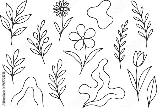 Hand Drawn Doodle Botanical Line Art Set Leaves Flowers Foliage and Organic Shapes