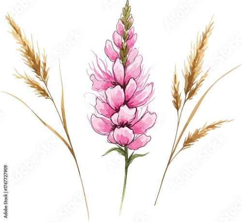 Delicate watercolor painting of a tall pink flower spike surrounded by wispy golden grasses on a white background