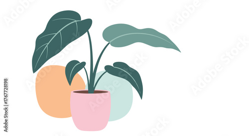 Illustration of a potted plant with large green leaves and abstract shapes in the background.