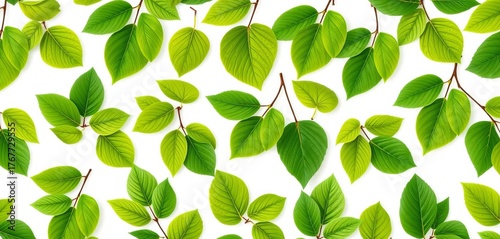 Seamless pattern of vibrant green leaves on a crisp white backdrop,  spring, leaves