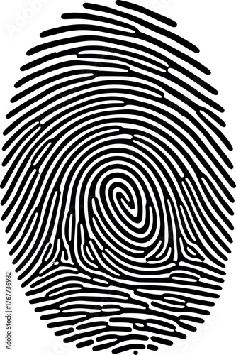 Distinctive human fingerprint illustration representing identification, security, and personal data. This detailed biometric pattern signifies privacy and digital access in modern systems