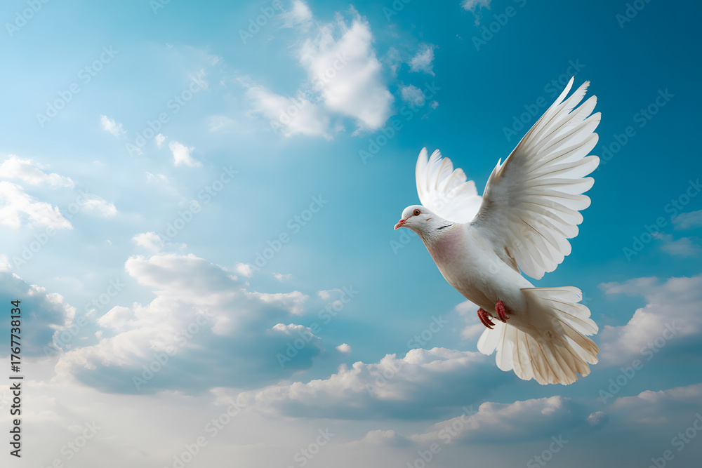Fototapeta premium peaceful dove gliding through the blue sky with wings spread wide
