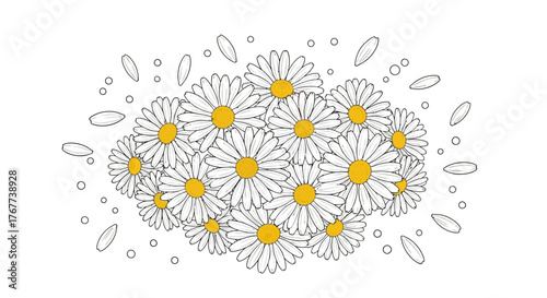 Charming daisy bouquet with sketched outlines and scattered petals on white background