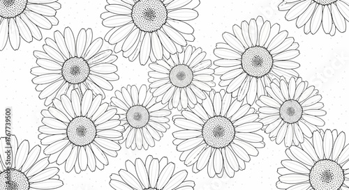 Elegant daisy arrangement in black and white floral design minimalist style illustration