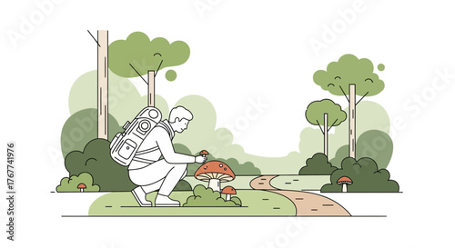 A Person Collecting Mushrooms in Nature's Embrace, Capturing The Forest's Beauty
