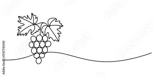 Elegant continuous line drawing of grapes with leaves and a wavy base vector