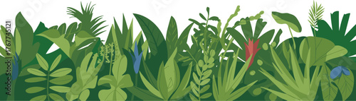 Vector Border of Dense Tropical Foliage with Exotic Flowers