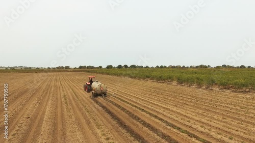 SWEET POTATO FARM, ANGOLA
