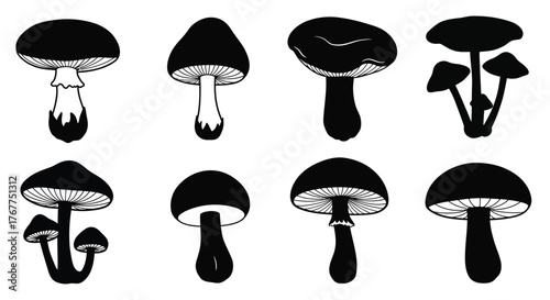 Black and white illustration of various mushroom shapes and sizes